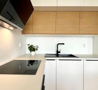 Küche in einer 2-Zimmer-Wohnung mit Holzschränken, Kochfeld und Pflanze auf der Theke.