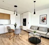 Designer-Küche und Wohnzimmer in einer 2-Zimmer-Wohnung mit Holzelementen und Dekoration.