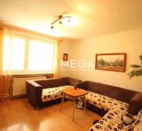 Wohnzimmer mit braunen Sofas, einer Pflanze und einem Bild in einem Einfamilienhaus.