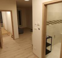 Interieur einer Einzimmerwohnung mit hellem Boden, Teil des Wohnzimmers und Badezimmer.