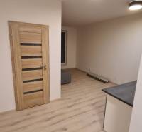 Holztüren, heller Laminatboden und Deckenleuchten in einer Einzimmerwohnung.