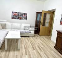 Helles Wohnzimmer in einer 3-Zimmer-Wohnung mit weißem Sofa und Holzmöbeln.