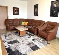 Ledersofa im Wohnzimmer einer 3-Zimmer-Wohnung. An der Wand hängen Bilder.