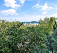 Blick auf die Plattenbauten hinter den Bäumen in der Landauova-Straße in Bratislava.