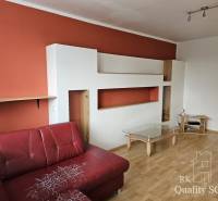 Wohnzimmer mit rotem Sofa und Regalsystem in einer 2-Zimmer-Wohnung.