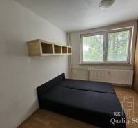 Schlafzimmer mit Bett und Regal in einer 2-Zimmer-Wohnung. Fenster mit Blick auf das Grün.