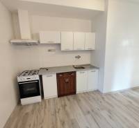 Küchenbereich in einer Einzimmerwohnung mit Bodenbelag und Küchenzeile.