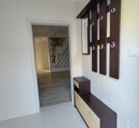 Eingangsflur zu einer Einzimmerwohnung mit Garderobenwand und Ablageschrank.