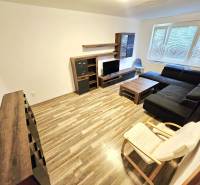 Wohnzimmer in einer 3-Zimmer-Wohnung mit dunklem Sofa und Holzmöbeln.