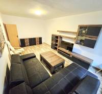 Wohnzimmer in einer 3-Zimmer-Wohnung mit schwarzem Sofa, Möbeln und Holzboden.