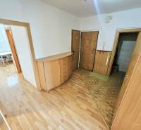 Diele einer 3-Zimmer-Wohnung mit Holzböden und Möbeln, Blick in das Zimmer.