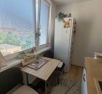 Küche in einer 3-Zimmer-Wohnung mit Esstisch und Kühlschrank, Blick auf städtisches Grün.