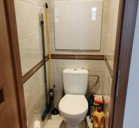 Toilette in einer 3-Zimmer-Wohnung mit Stauraum für Reinigungsmittel.