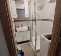 Badezimmer in einer 3-Zimmer-Wohnung mit Dusche, Waschbecken und Waschmaschine.