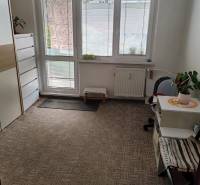 Ein Zimmer in einer 3-Zimmer-Wohnung mit Teppichboden, Möbeln und großen Fenstern mit Aussicht.