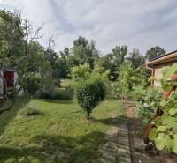 Der Garten des Einfamilienhauses in Hrkovce, umgeben von Grün und Bäumen.