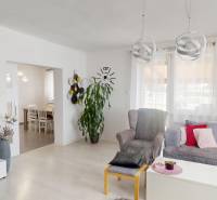 Wohnzimmer im Einfamilienhaus, bequeme Couch, Sessel, Zimmerpflanzen und Dekorationen.
