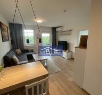 Wohnzimmer in einer Zweizimmerwohnung mit Sofa, Fernseher und Esstisch.