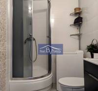 Badezimmer in einem Studio-Apartment mit Eckdusche, Waschmaschine und Toilette.