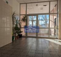 Eingangshalle mit Pflanzen in einem Wohnhaus am Námestie hraničiarov in Petržalka.