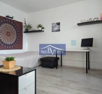 Garçonniere mit Bett, Tisch, Pflanzen und Teppich an der Wand.
