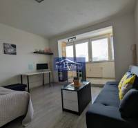 Das Studio bietet ein Bett, ein Sofa und eine Arbeitsecke mit einem Computer, eine angenehme helle Umgebung.