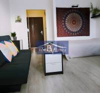 Einzimmerwohnung mit Sofa, Bett, Bild an der Wand und Pflanzen auf dem Regal.