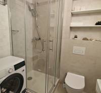Badezimmer mit Dusche, Waschmaschine, Toilette und Regalen in einer Einzimmerwohnung.