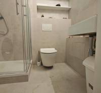 Badezimmer in einer Einzimmerwohnung mit Toilette, Duschkabine und Wandregalen.