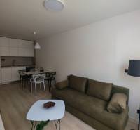 Wohnzimmer in einer Einzimmerwohnung mit Kochnische, Tisch, Sofa und Stehlampe.