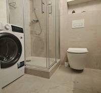Badezimmer mit Waschmaschine, Duschkabine und Toilette in einer Einzimmerwohnung.