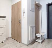 Eingangsbereich mit Holztür und Schuhschrank in einer 2-Zimmer-Wohnung.