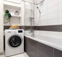 Badezimmer in einer 2-Zimmer-Wohnung mit Waschmaschine, Badewanne, Regalen und einer dekorativen Pflanze.