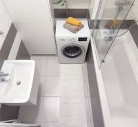 Badezimmer einer Zweizimmerwohnung mit Waschmaschine, Badewanne und Waschbecken, Zubehör Sukkulenten.
