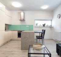 Küche und Wohnzimmer in einer 2-Zimmer-Wohnung mit minimalistischem Möbeln und Dekorationen.