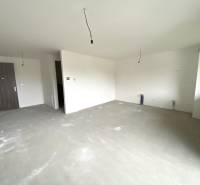 Geräumiges, unmöbliertes Wohnzimmer und Eingangstür in einer 2-Zimmer-Wohnung.