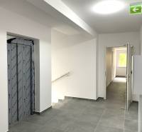 Der Flur mit Treppe, Aufzug und offenen Türen zu einer 2-Zimmer-Wohnung.