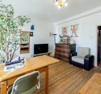 Wohnzimmer in einer Zweizimmerwohnung mit Holzboden, Möbeln und einer großen Zimmerpflanze.