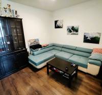 Wohnzimmer mit blauem Sofa, Holzboden und Vitrine in einer Zweizimmerwohnung.