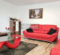 Wohnzimmer eines Einfamilienhauses mit roten Sofas und modernen Möbeln.