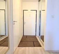 Eingangsflur in einer 2-Zimmer-Wohnung mit großem Spiegelschrank und weißen Wänden.