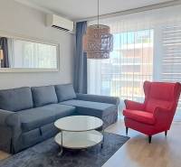 Ein stilvolles Wohnzimmer mit einem bequemen Sofa und einem roten Sessel in einer Zweizimmerwohnung.