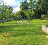Garten beim Einfamilienhaus in Kalinovo mit Rasen und Obstbäumen.