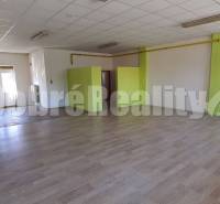 Geräumige Geschäftsräume mit hellem Interieur und grünen Akzenten.