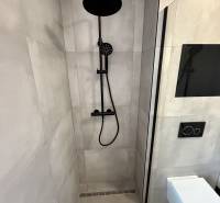 Duschkabine und Toilette mit schwarzen Accessoires in einer 2-Zimmer-Wohnung.