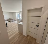 Eingangsbereich, der zum Wohnzimmer in einer 2-Zimmer-Wohnung mit Holzboden führt.