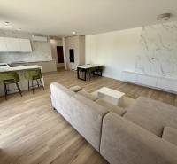 Geräumiges Wohnzimmer mit Küche, Esstisch und Sofa in einer 2-Zimmer-Wohnung.