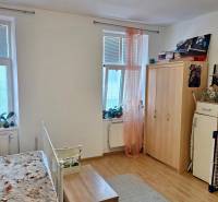Helles Zimmer mit Holzboden, Bett, Schrank und Fenstern mit Pflanzen in einer Einzimmerwohnung.