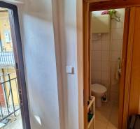 In der 1-Zimmer-Wohnung sieht man das Badezimmer mit Toilette und die Tür, die zum Balkon führt.