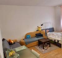 Ein Zimmer mit einem Sofa, einem Bett, einem Tisch und Plüschtieren in einer Einzimmerwohnung.